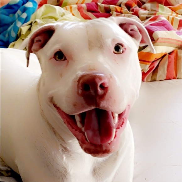 Meet your Posher, Jourdin - Picture 2 of 7